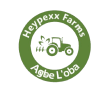 Heypexx Logo