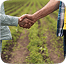 Direct Farm-to-Market image 3