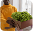 Direct Farm-to-Market image 6