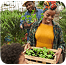 Direct Farm-to-Market image 7