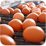 Quality Produce image 1