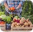 Quality Produce image 7