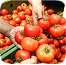 Quality Produce image 6
