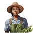 Exportation of farm produce image 5