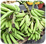 Selling fresh farm produce. image 3
