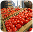Selling fresh farm produce. image 4