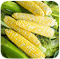 Selling fresh farm produce. image 5