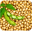 Selling fresh farm produce. image 7