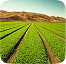 Land leasing image 1