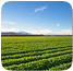 Land leasing image 4