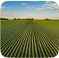Land leasing image 6