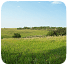 Land leasing image 8