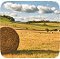 Land leasing image 7